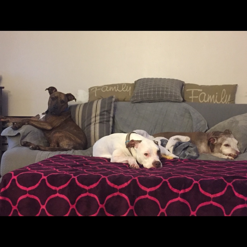 Meet your Posher, Cora